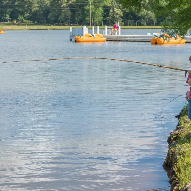Summer Fun on the Farm is Back at the Rock Ranch