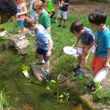 Outdoor Spring Activities at Oxbow Meadows