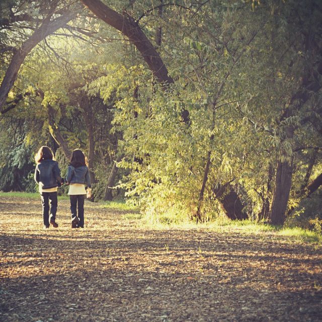 Making the Most of a Nature Walk with the Kids