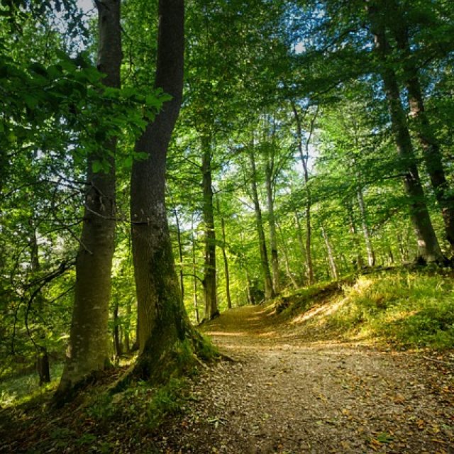 Hiking in Columbus, GA
